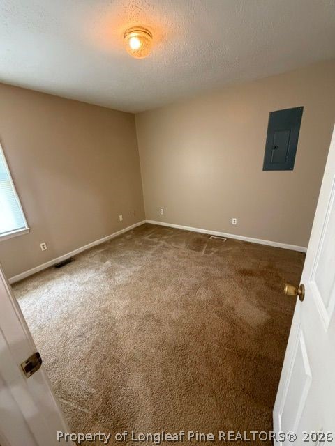 6648 Wire Grass Road Orrum, NC 28369 - Photo 6 of 9