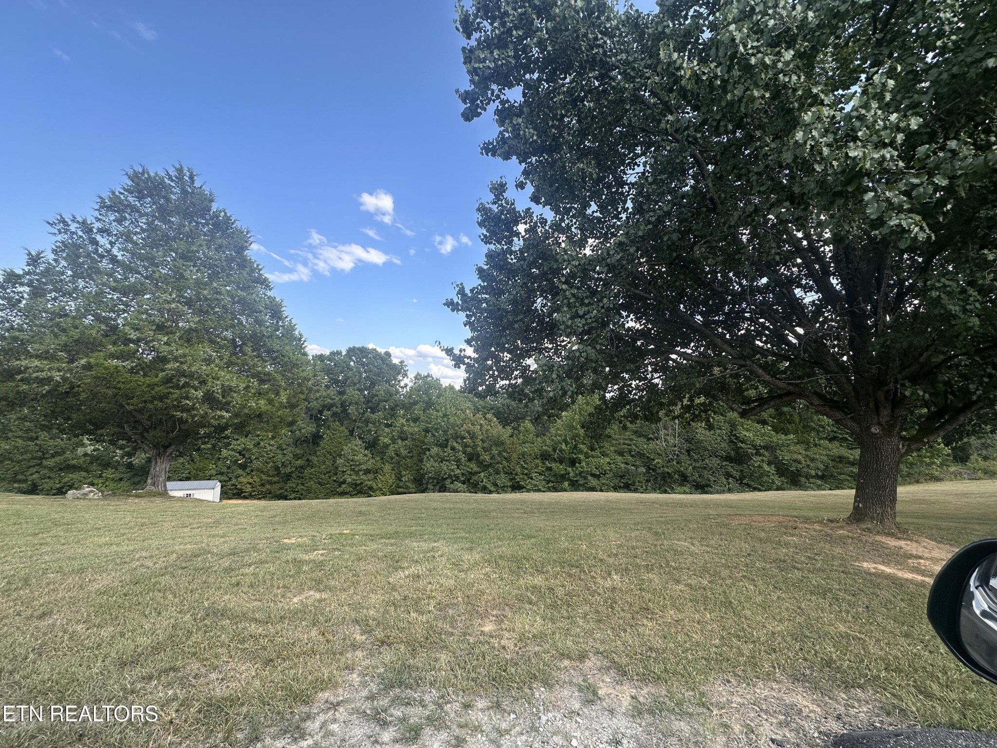 0 Cliff Edge Road Monroe, TN 38573 - Photo 2 of 3 a view of a yard with a tree