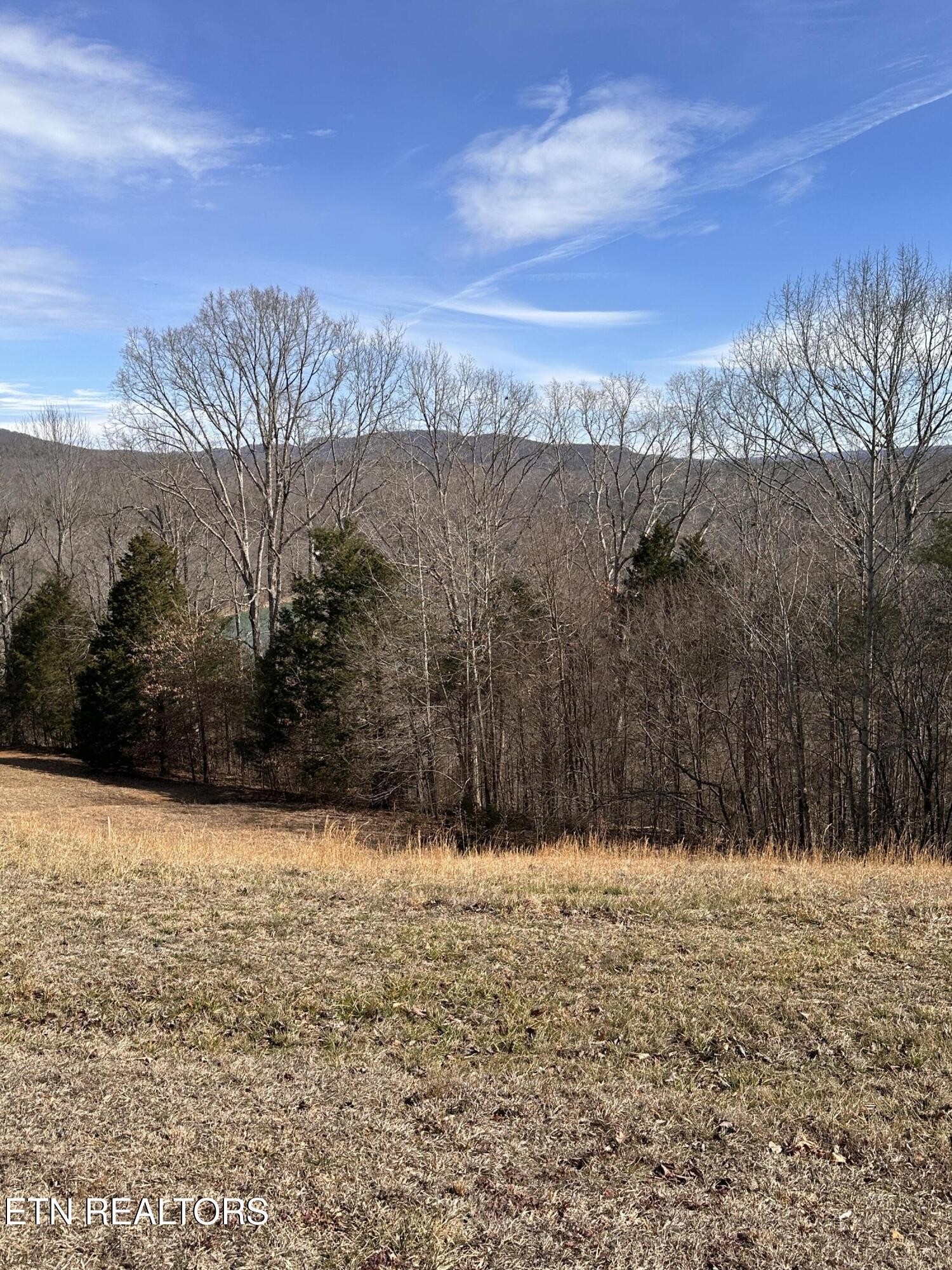 0 Cliff Edge Road Monroe, TN 38573 - Photo 4 of 9