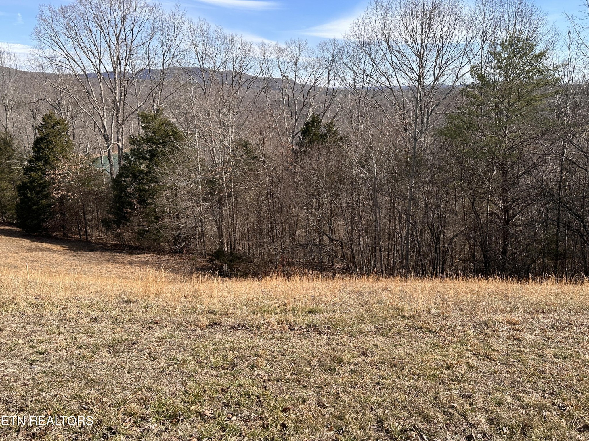 0 Cliff Edge Road Monroe, TN 38573 - Photo 5 of 9