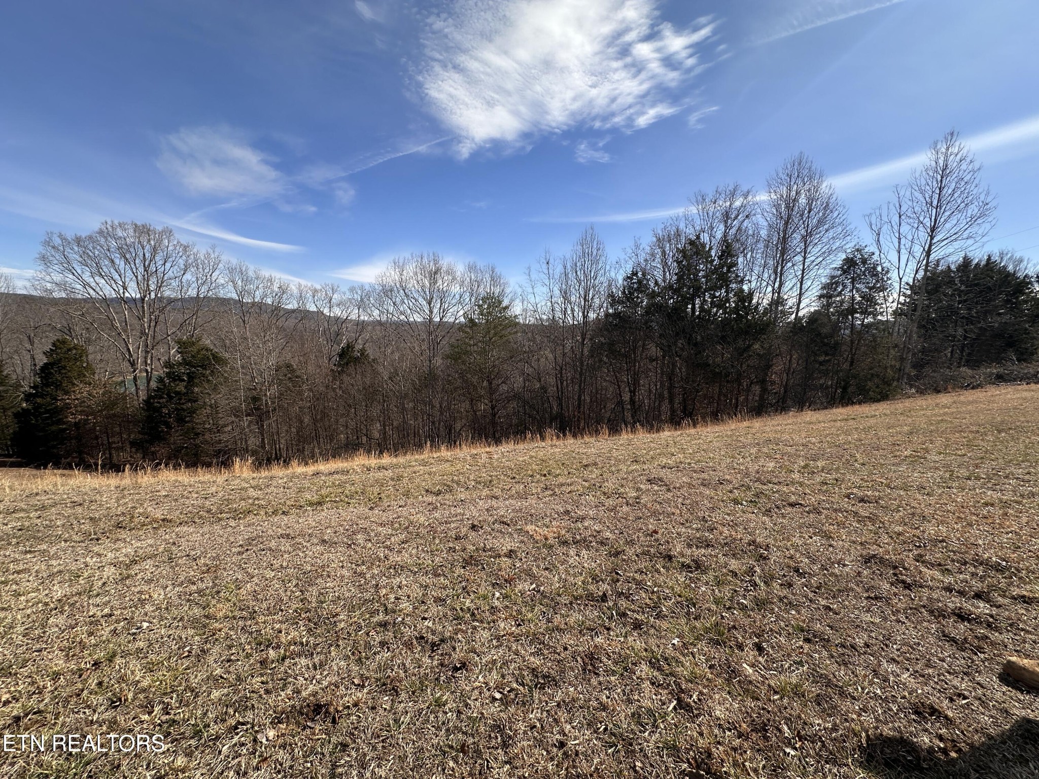 0 Cliff Edge Road Monroe, TN 38573 - Photo 6 of 9