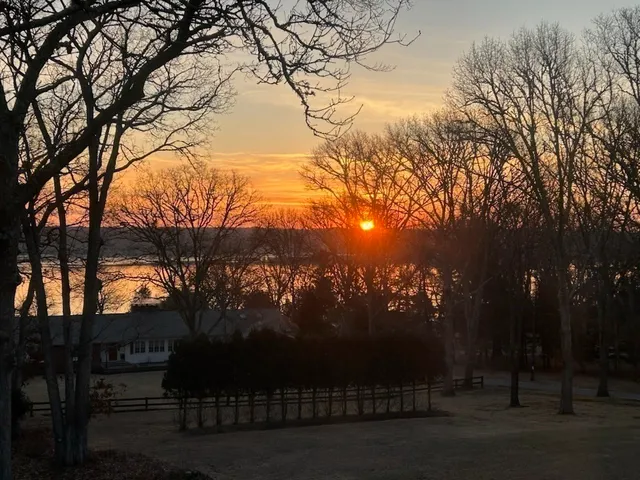 a view of outdoor space and yard