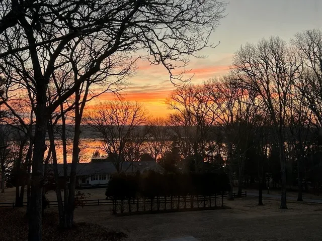 a view of outdoor space and trees