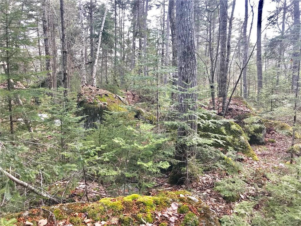 0 Short Point Way Penobscot, ME 04476 - Photo 14 of 14 Photo