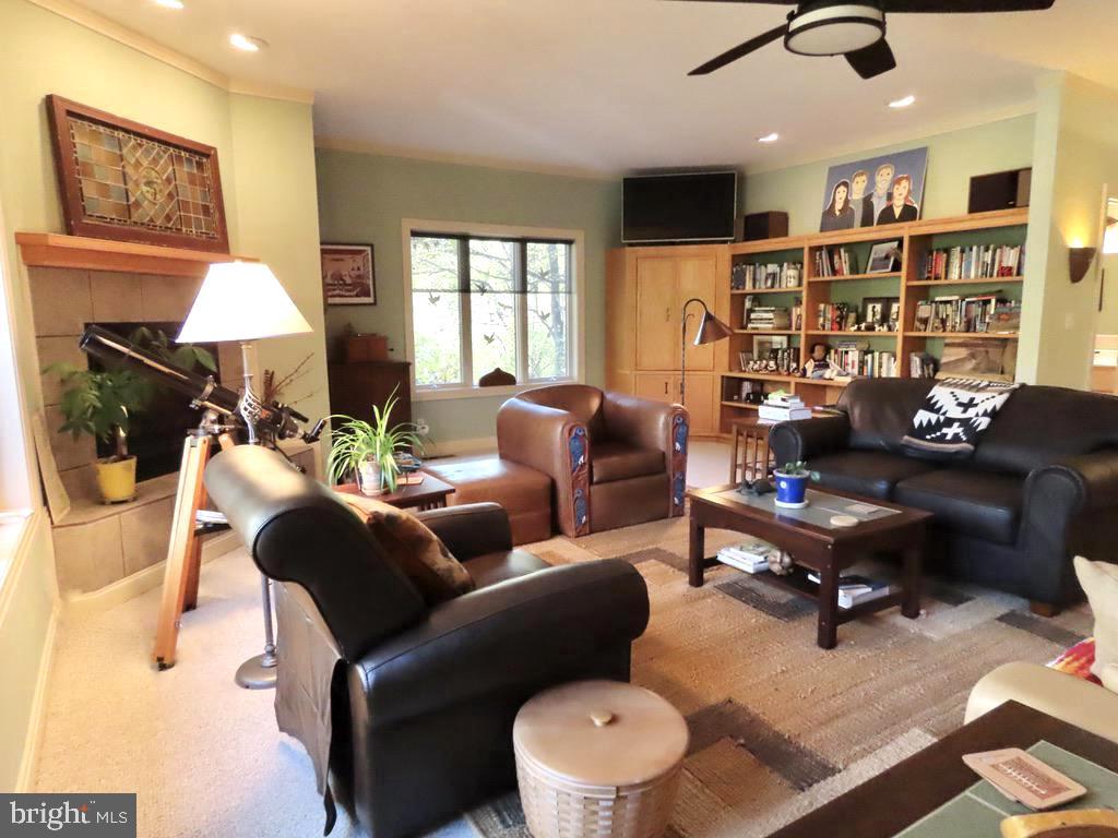 3016 Etlan Road Etlan, VA 22719 - Photo 13 of 42 Living Room w/ bookcase and fireplace