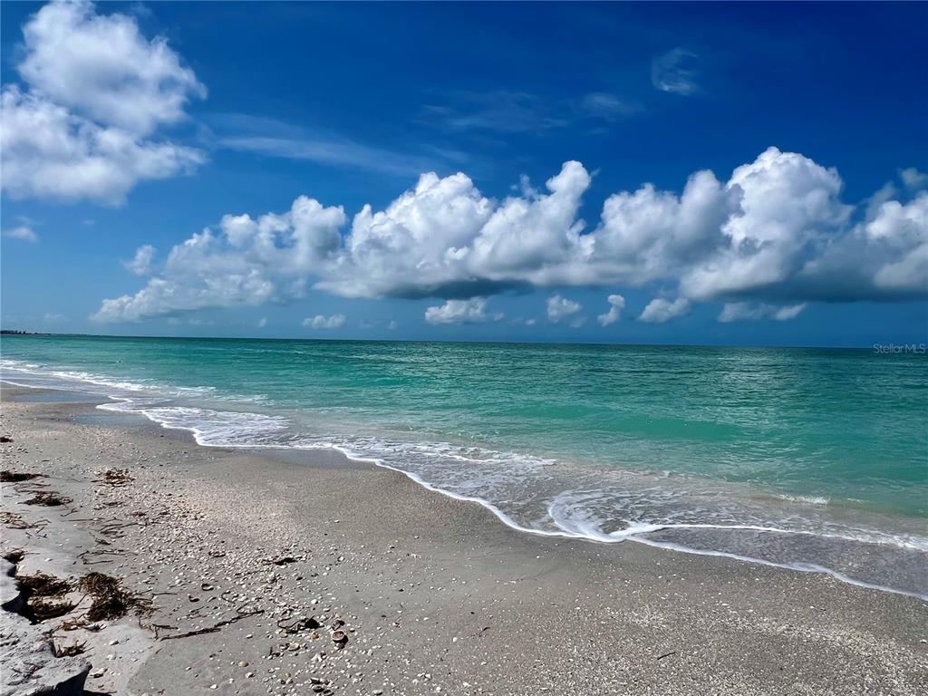8758 King Street Placida, FL 33946 - Photo 13 of 21 a view of a yard with a house