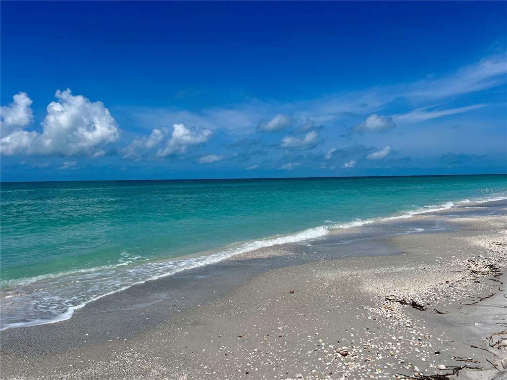 8758 King Street Placida, FL 33946 - Photo 14 of 21 a view of a yard