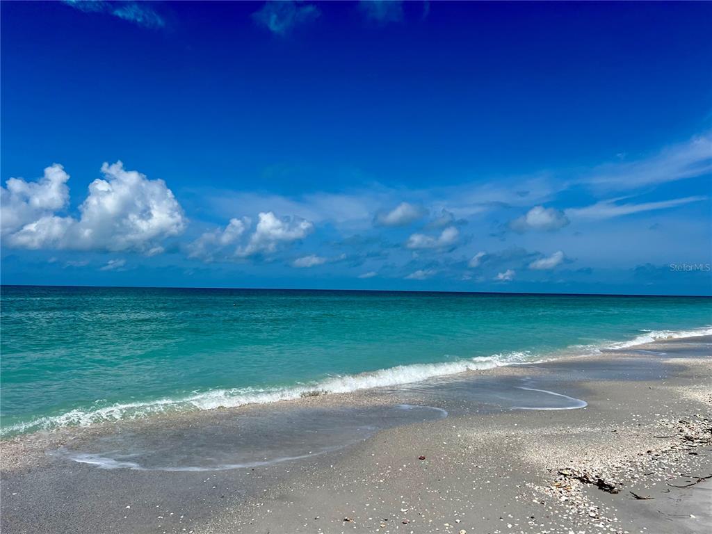 8758 King Street Placida, FL 33946 - Photo 15 of 21 a view of a yard