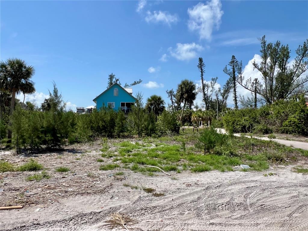 8758 King Street Placida, FL 33946 - Photo 6 of 21 a view of a dry yard with trees