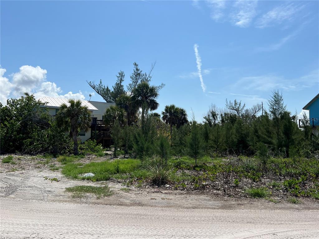 8758 King Street Placida, FL 33946 - Photo 8 of 21 a backyard of a house with lots of green space and trees