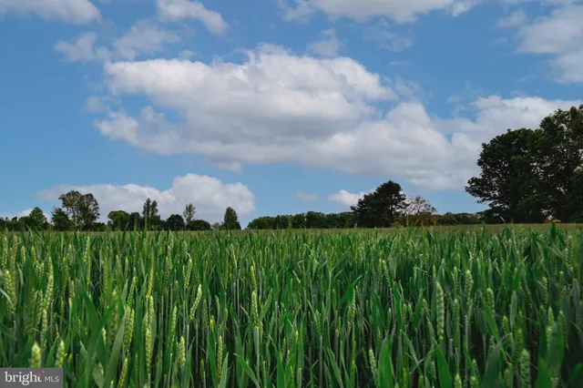 an aerial view of residential house with outdoor space