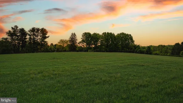 a view of a grassy field