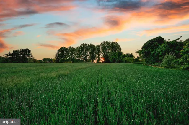 a view of a big yard with plants and a garden