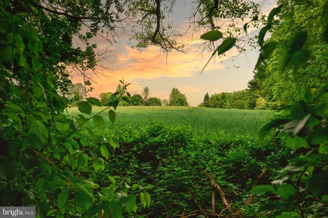 a view of a field of grass and trees