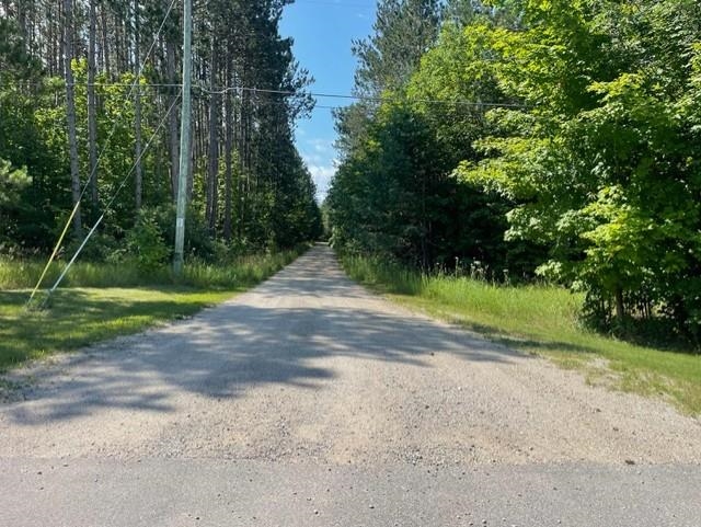 V/l V/l Windy Ridge Beulah, MI 49617 - Photo 18 of 20