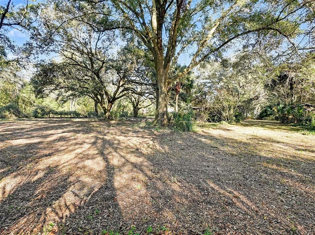 4818 Sadler Road Apopka, FL 32712 - Photo 11 of 21 a view of outdoor space with trees all around