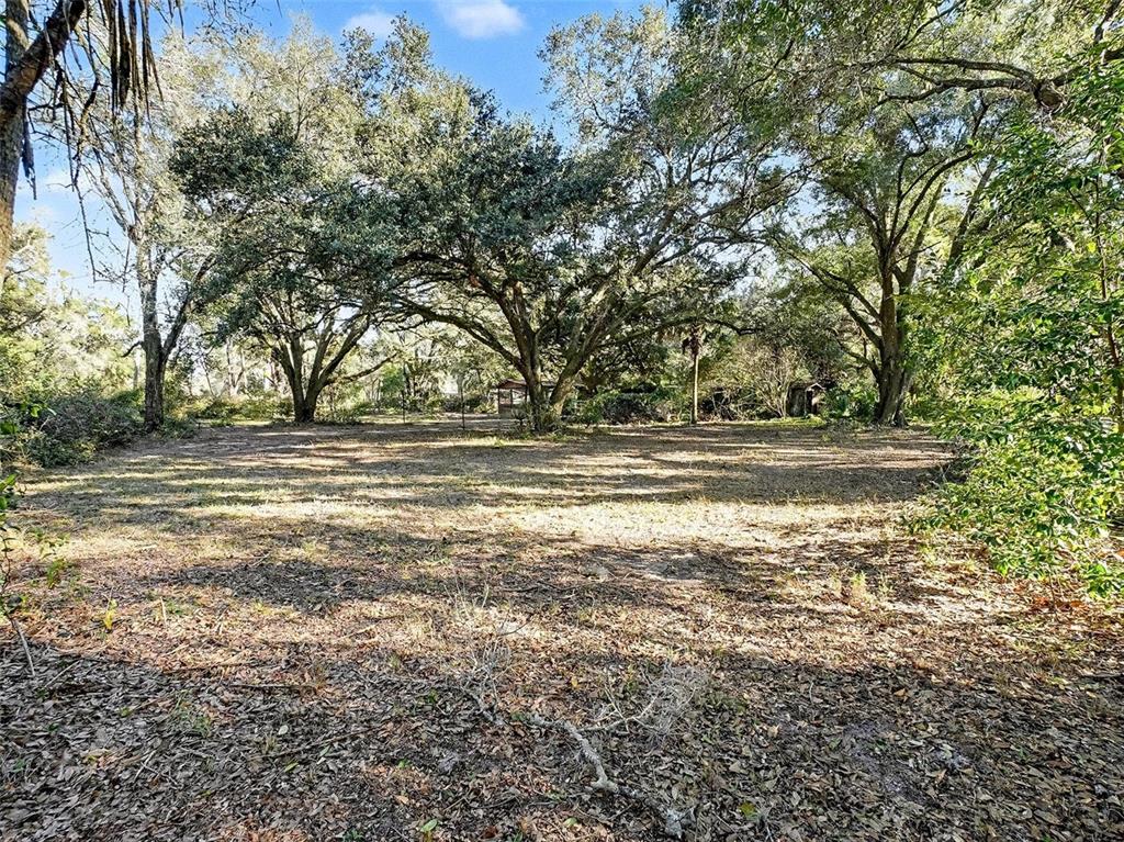 4818 Sadler Road Apopka, FL 32712 - Photo 12 of 21 a view of outdoor space with deck and yard