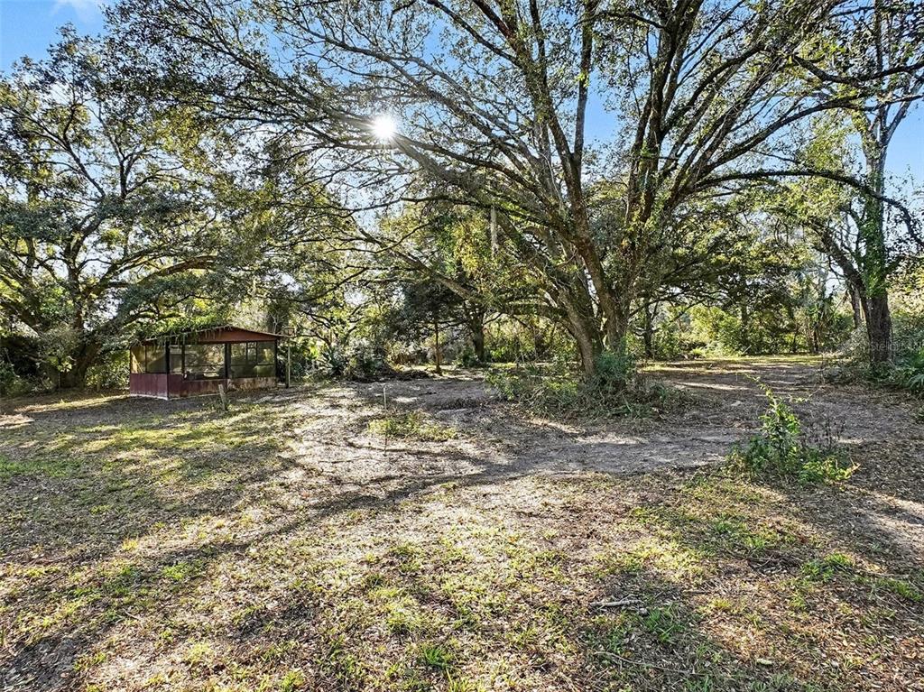 4818 Sadler Road Apopka, FL 32712 - Photo 14 of 21 a view of outdoor space with trees