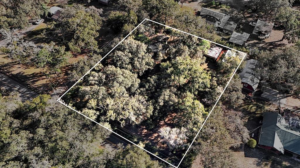 4818 Sadler Road Apopka, FL 32712 - Photo 20 of 21