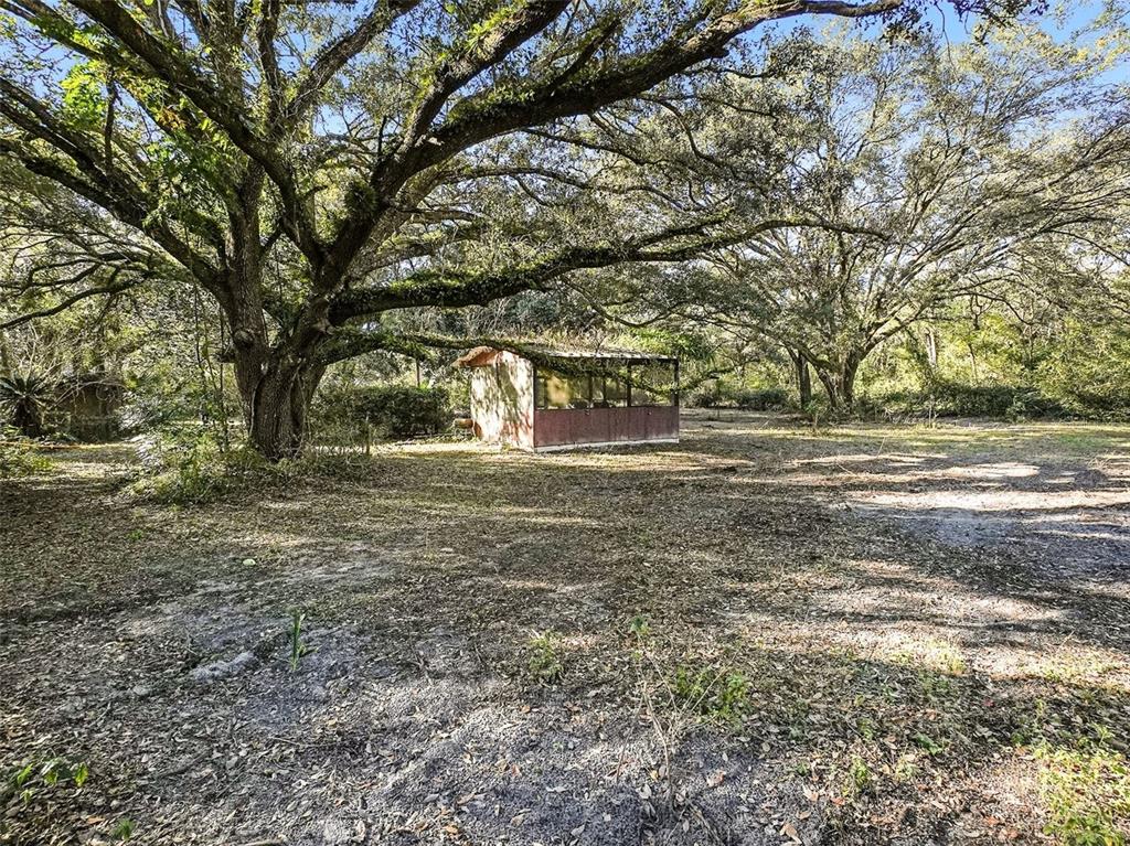 4818 Sadler Road Apopka, FL 32712 - Photo 5 of 21 a view of outdoor space with trees