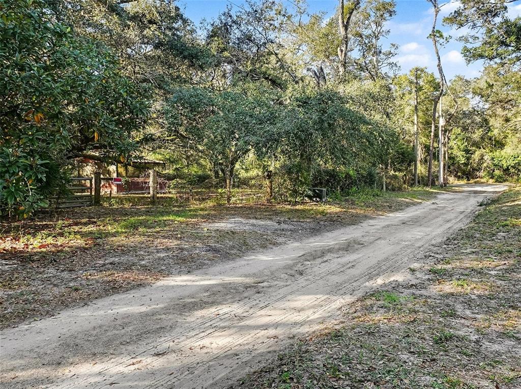 4818 Sadler Road Apopka, FL 32712 - Photo 6 of 21 a backyard of a house with large trees and outdoor