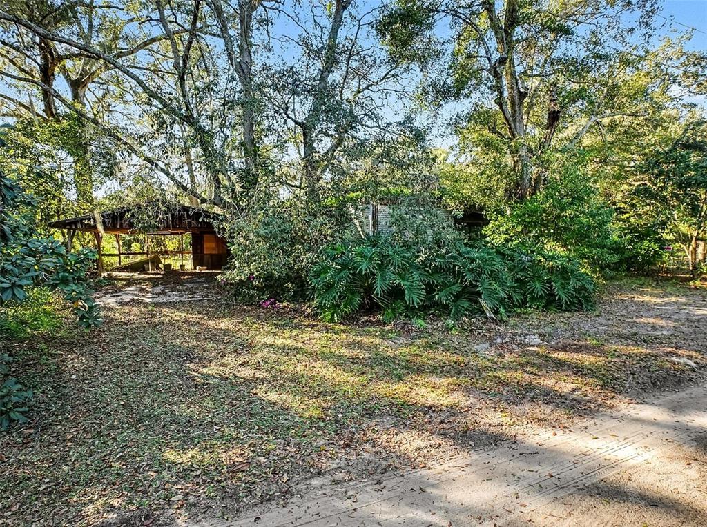 4818 Sadler Road Apopka, FL 32712 - Photo 8 of 21 a view of a yard with plants and trees