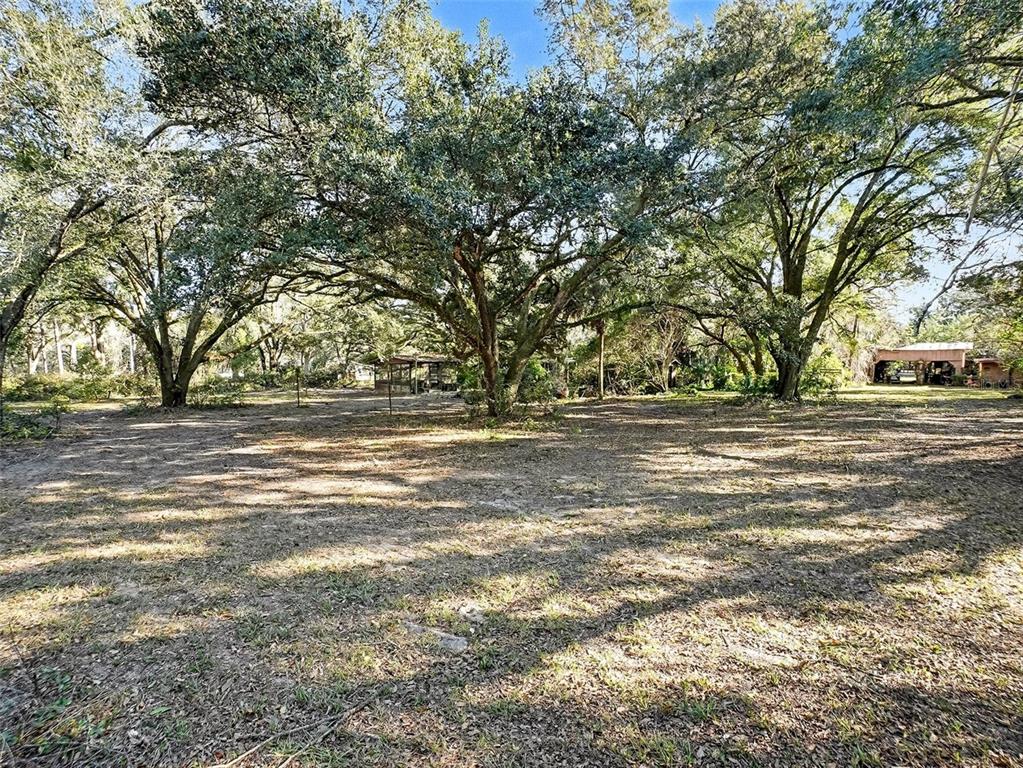4818 Sadler Road Apopka, FL 32712 - Photo 10 of 21 a view of road and trees
