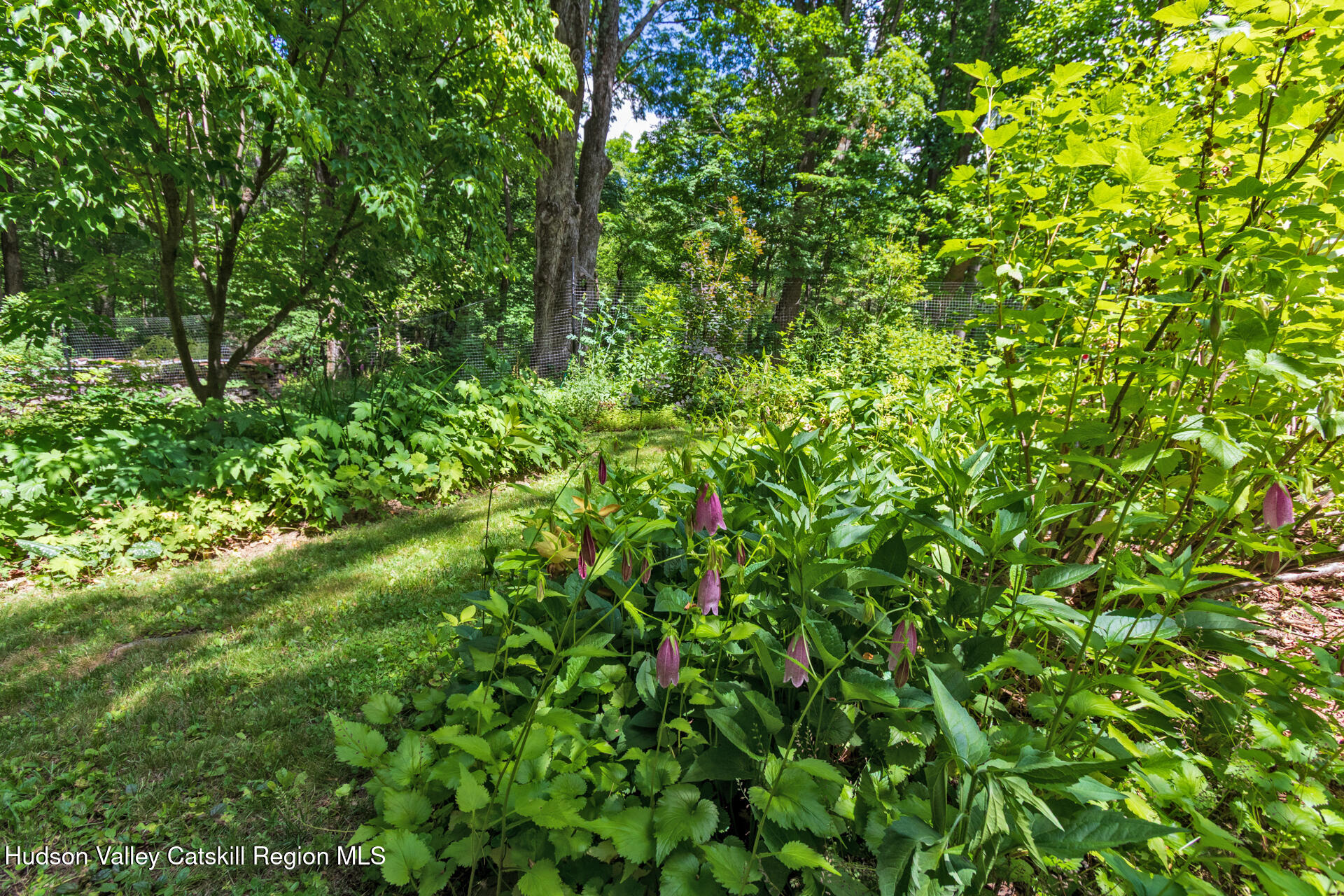 43 Krom Road Stone Ridge, NY 12484 - Photo 27 of 35 20260616-IMG_1198