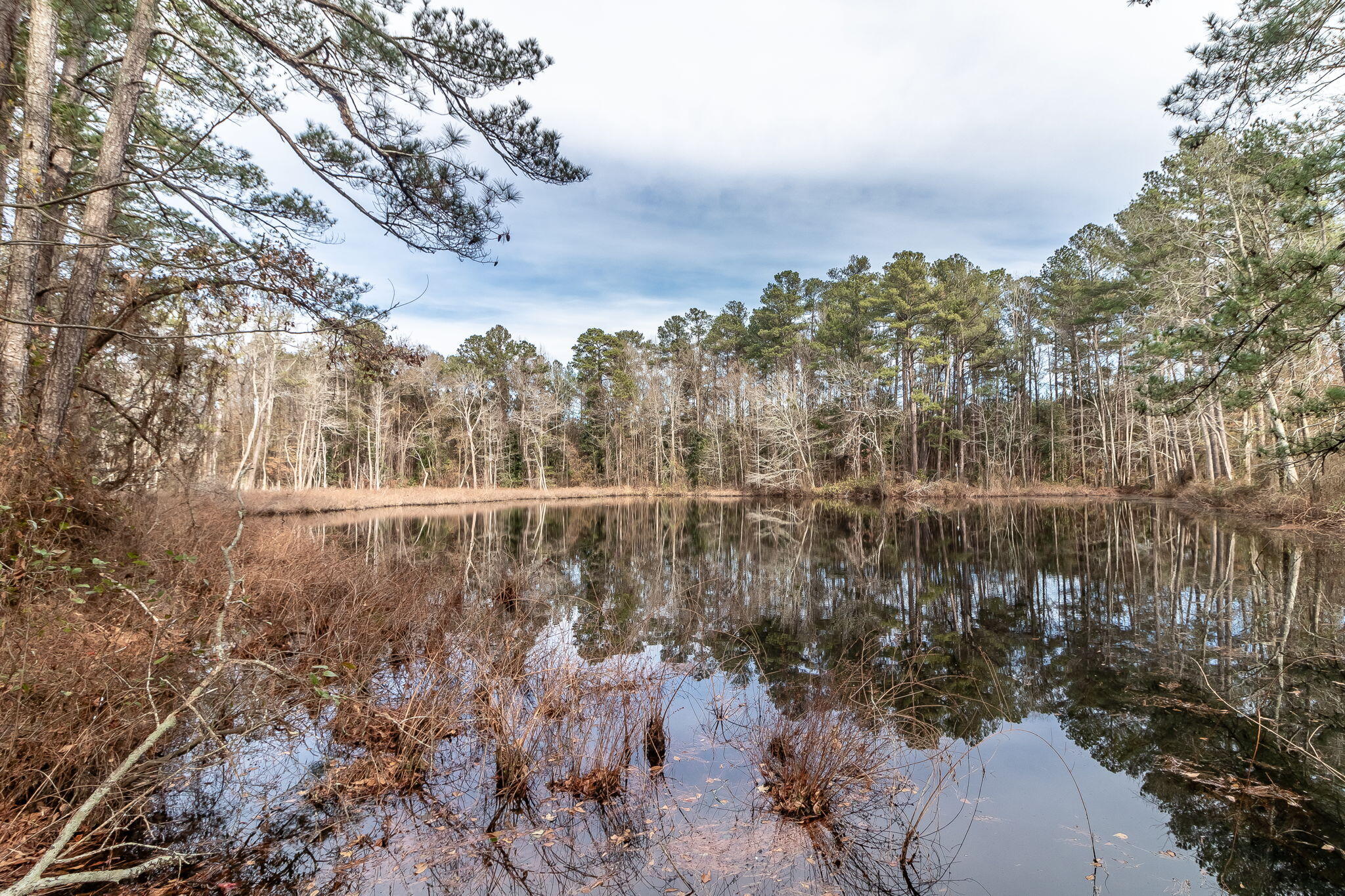 633 Carolina Springs Road North Augusta, SC 29841 - Photo 42 of 48 78-web-or-mls-633 CAROLINA SPINGS RD. ©-