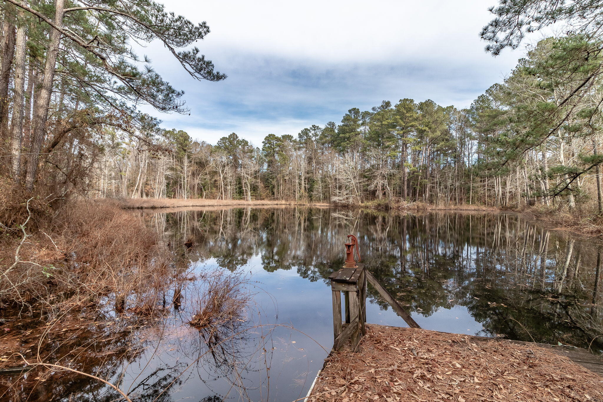 633 Carolina Springs Road North Augusta, SC 29841 - Photo 43 of 48 77-web-or-mls-633 CAROLINA SPINGS RD. ©-