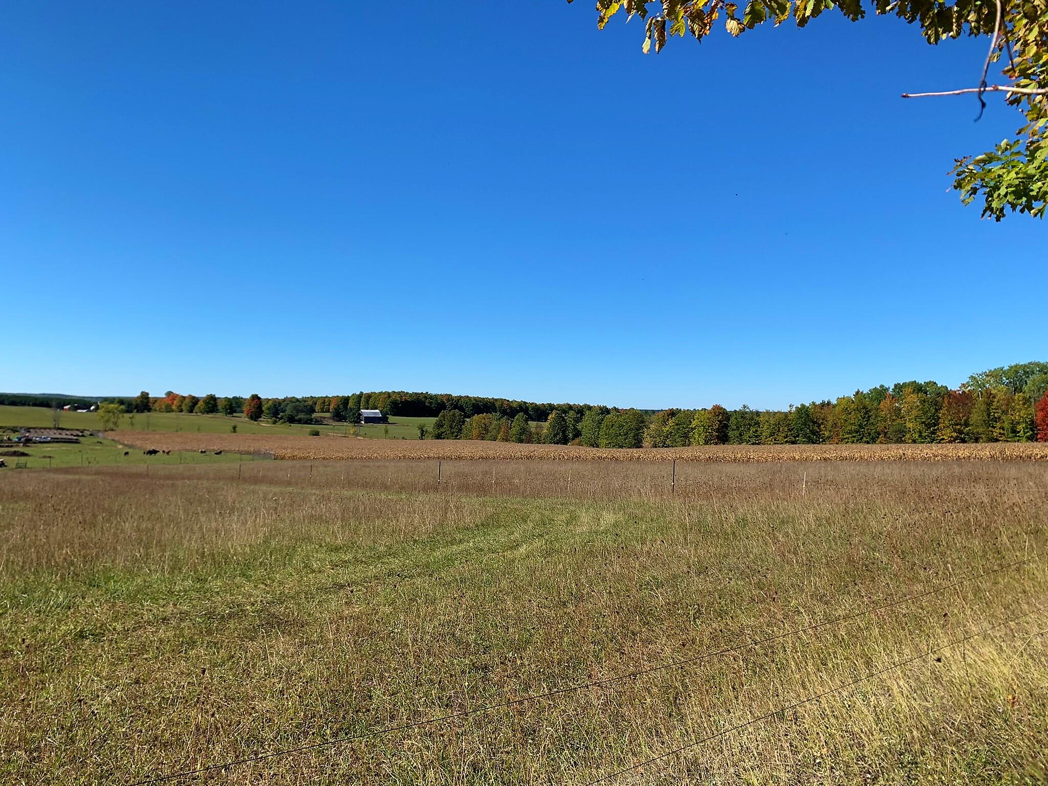 12870 Grosinsky Road Hillman, MI 49746 - Photo 45 of 58 Gallery Image 45