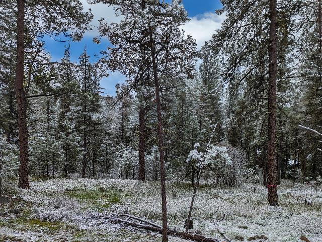 Lot 17 Syringa Dr Unit 17  