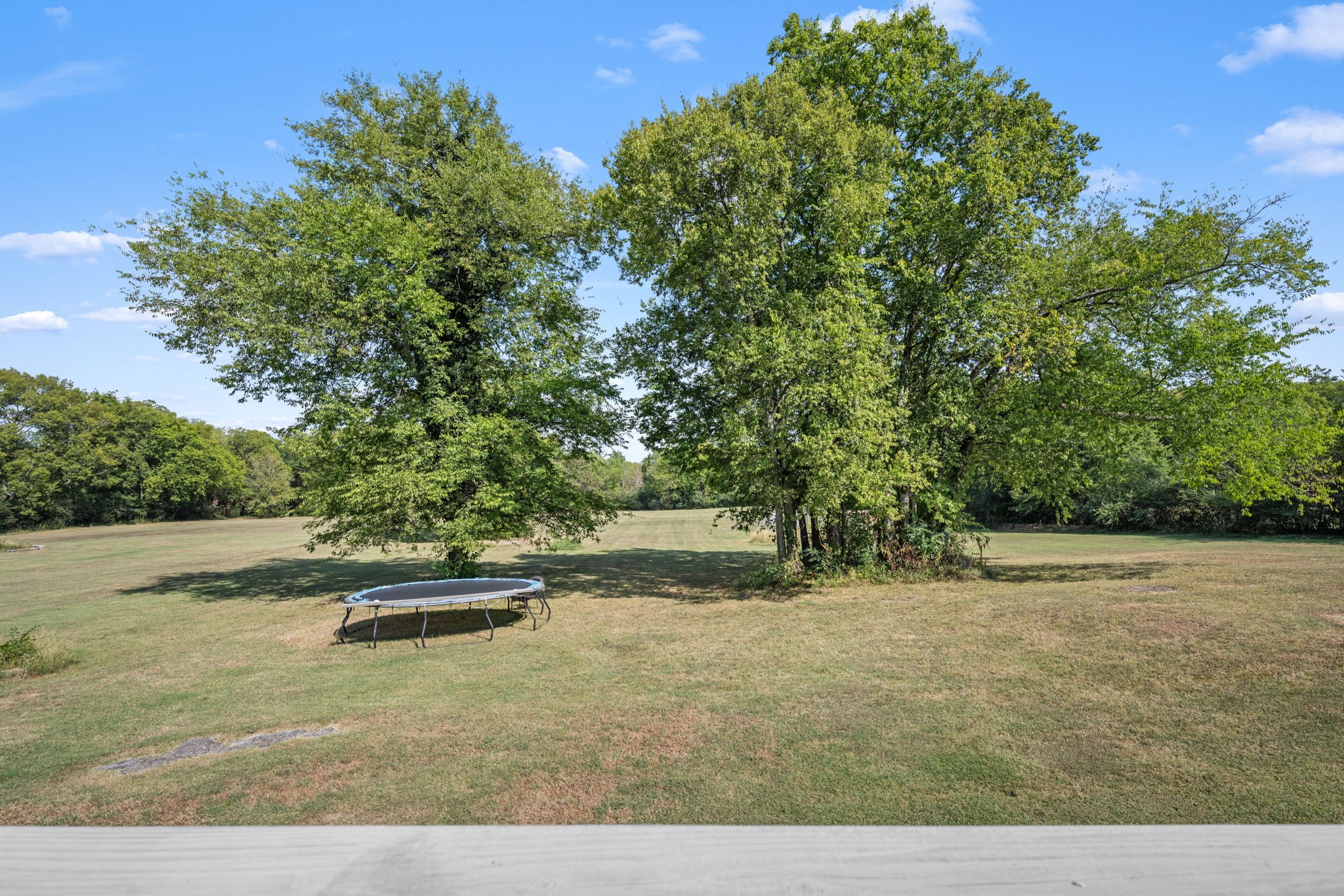 9741 Midland Road Bell Buckle, TN 37020 - Photo 88 of 91 Gallery Image 88