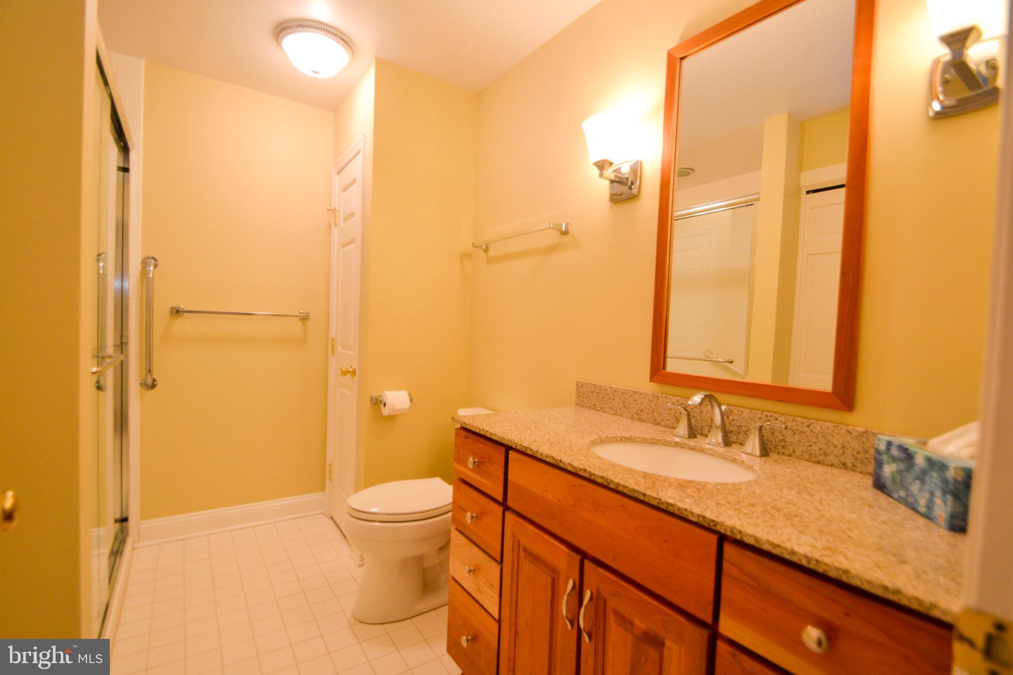 13 Devon Hill Road, Unit C4 Baltimore, MD 21210 - Photo 27 of 32 Primary Bath