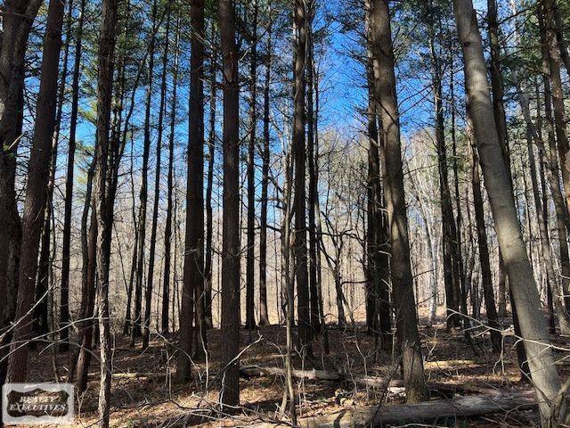 0 Burton Road Capac, MI 48014 - Photo 8 of 10