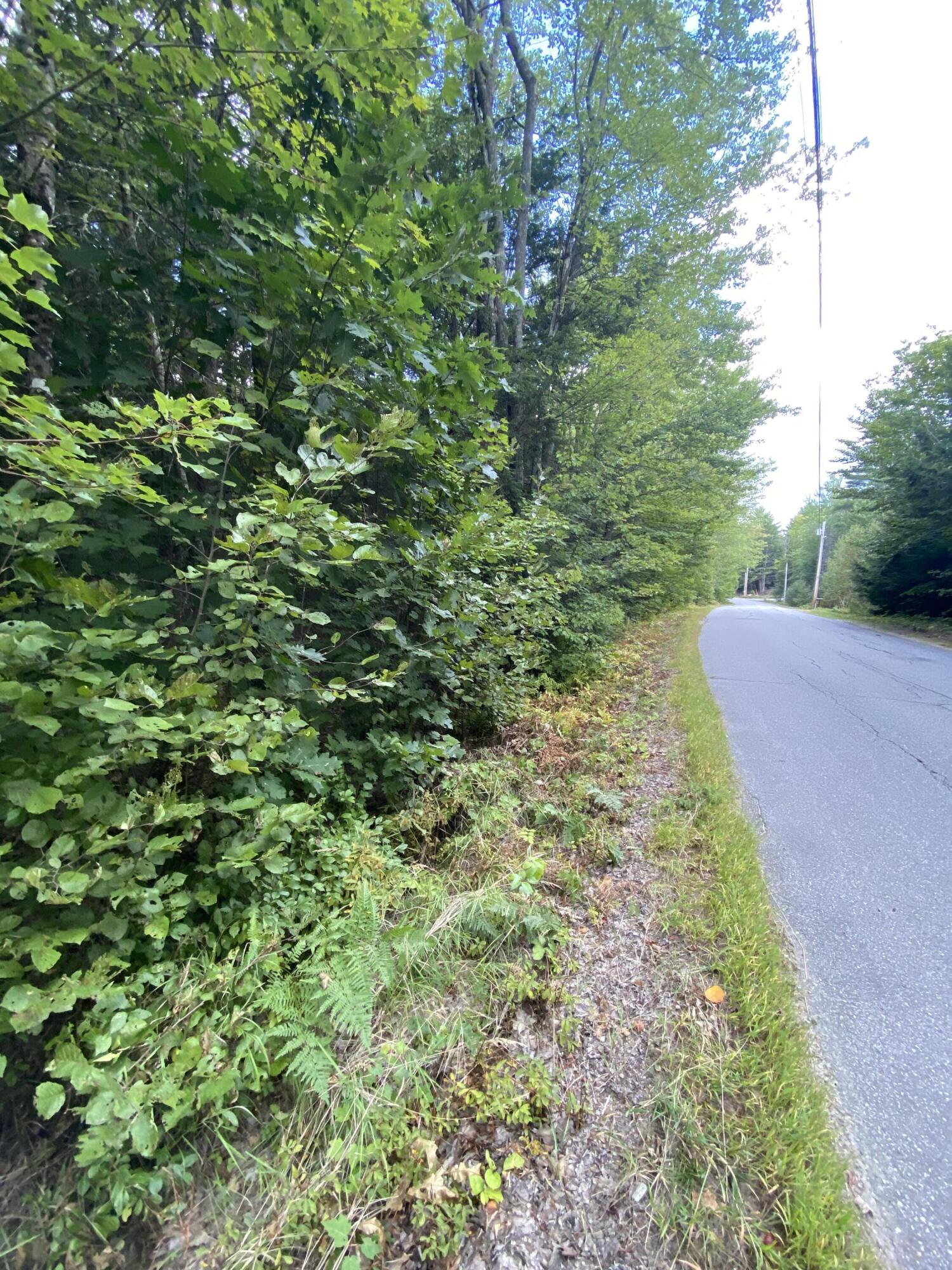 Lot 31-0 Dead River Road Bowdoin, ME 04287 - Photo 4 of 4 IMG_2726