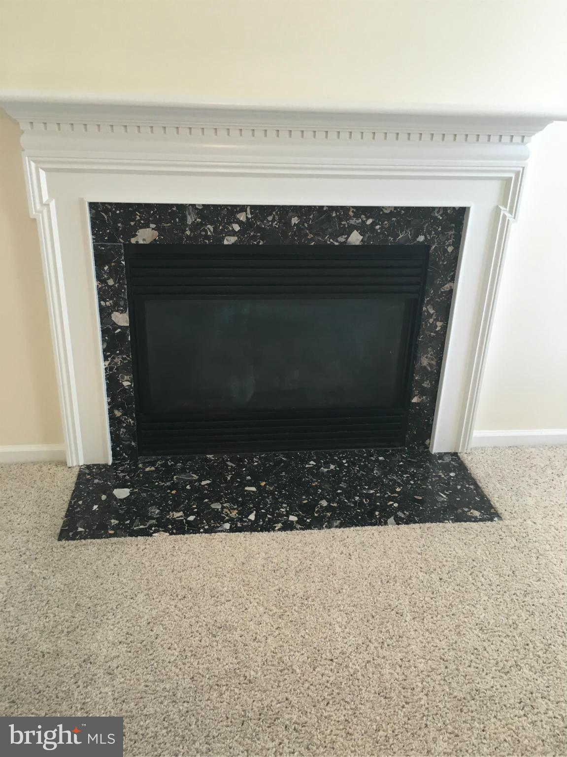 12104 Snowden Woods Road Laurel, MD 20708 - Photo 5 of 15 Fireplace