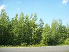 14 Lot 14 Thunder Road Fremont, NH 03044 - Photo 4 of 6