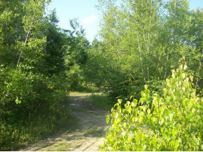 14 Lot 14 Thunder Road Fremont, NH 03044 - Photo 5 of 6