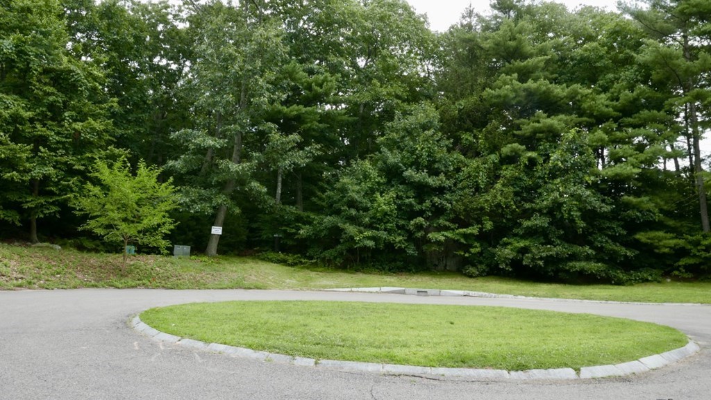 Lot 3 Wilson's Way Dover, MA 02030 - Photo 2 of 9 a view of a bathtub in a yard