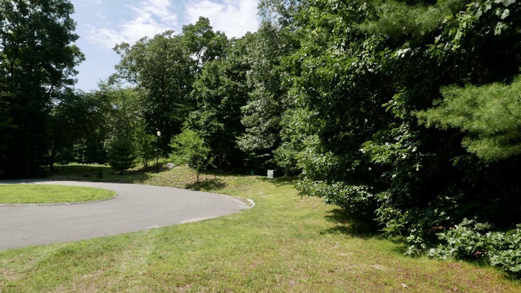 Lot 3 Wilson's Way Dover, MA 02030 - Photo 3 of 9 a view of a yard with plants and trees