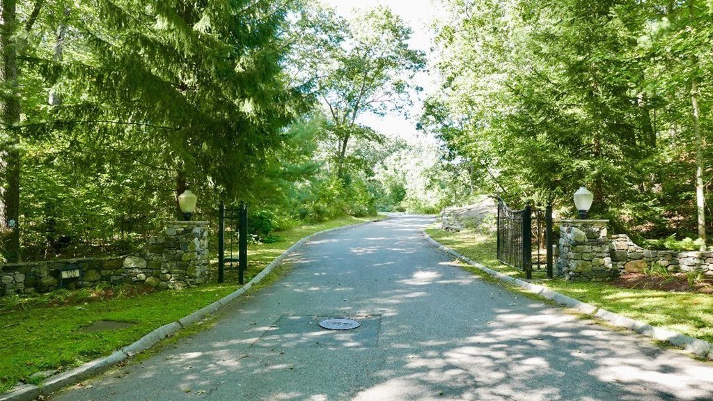 Lot 3 Wilson's Way Dover, MA 02030 - Photo 6 of 9 a view of a yard with plants and large trees