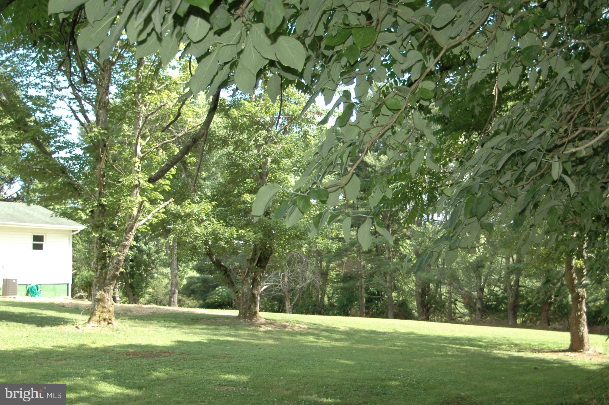 251 Scrabble Road Castleton, VA 22716 - Photo 3 of 23 a view of outdoor space with trees all around