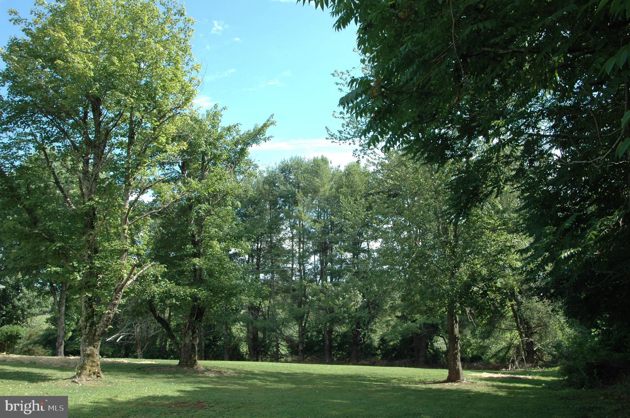 251 Scrabble Road Castleton, VA 22716 - Photo 22 of 23 a view of a park with trees in the background