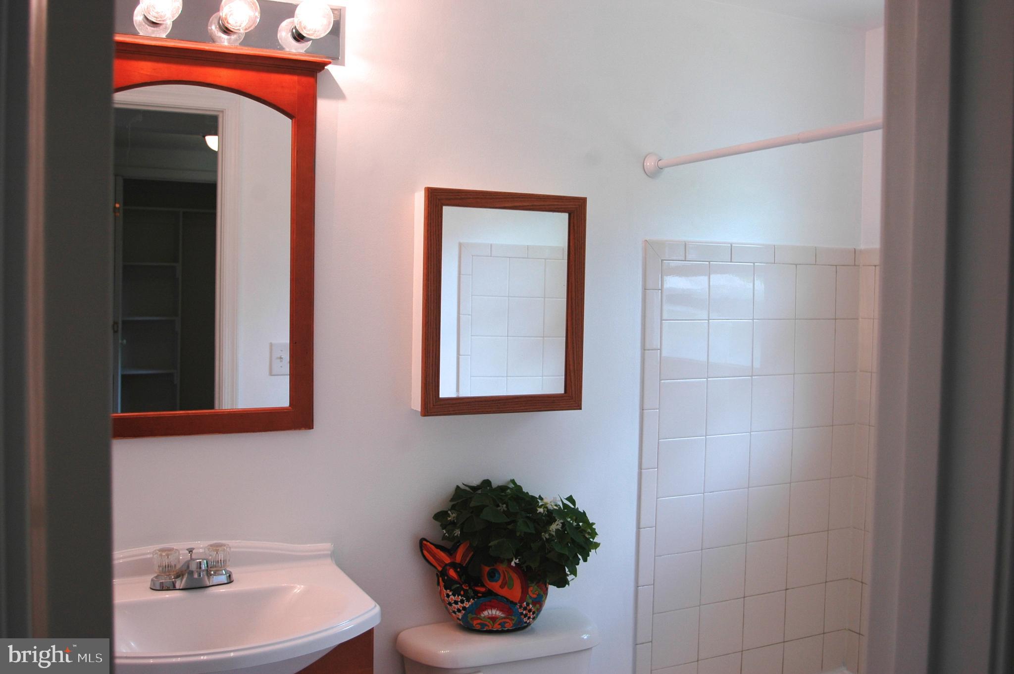 251 Scrabble Road Castleton, VA 22716 - Photo 10 of 23 a bathroom with a sink and a mirror