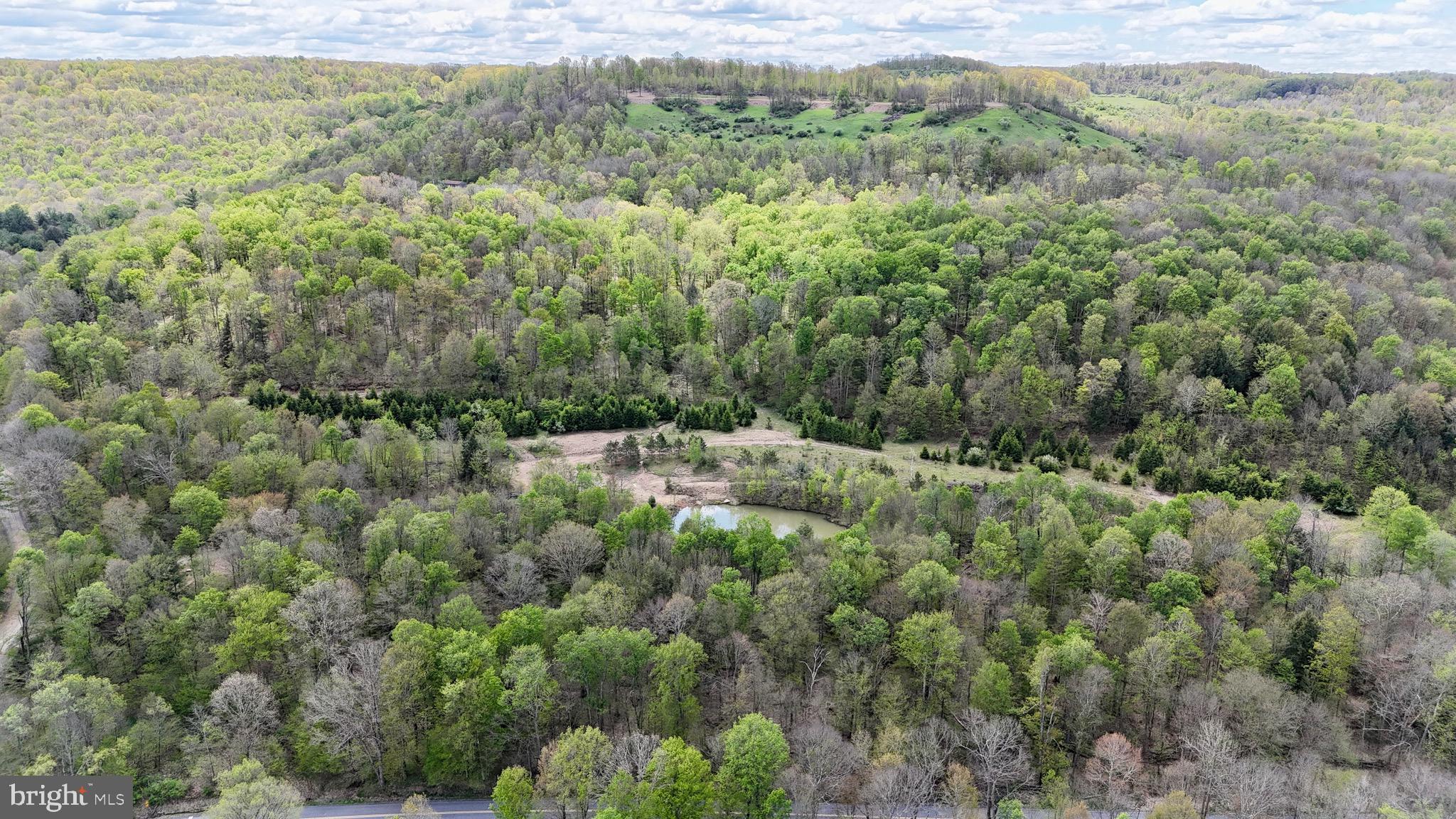 2800 Center Hill Road Brookville, PA 15825 - Photo 22 of 34 a view of a forest with a street