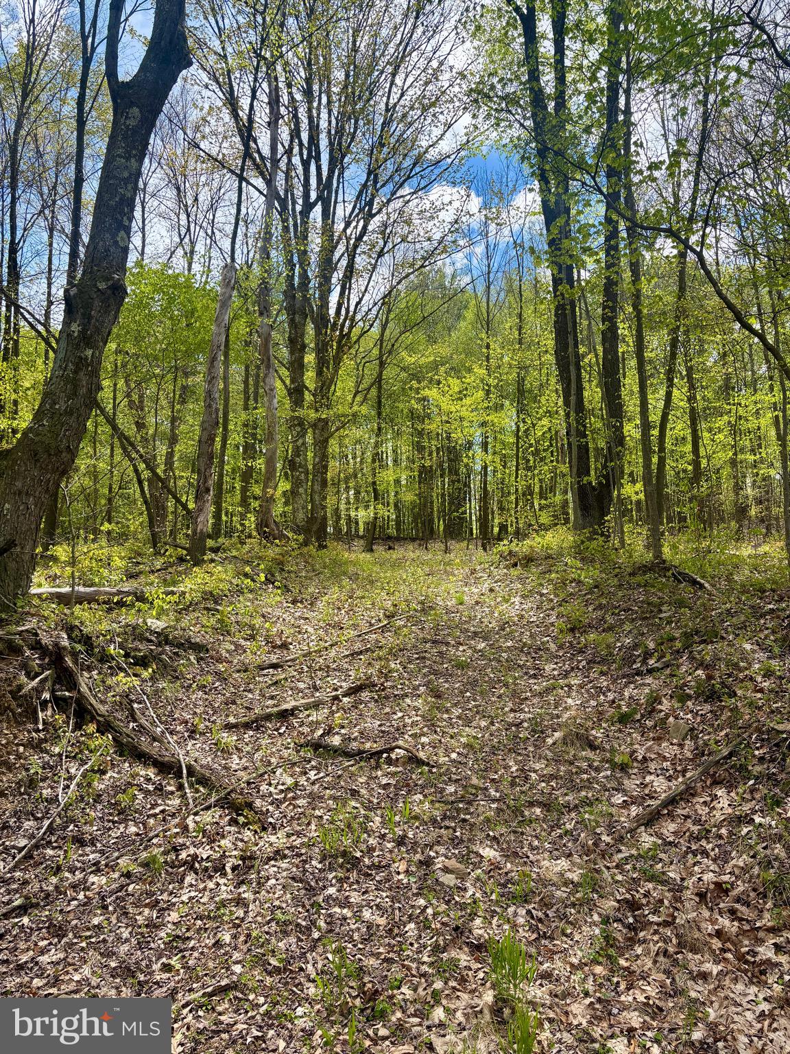 2800 Center Hill Road Brookville, PA 15825 - Photo 25 of 34 a backyard of a house with lots of green space