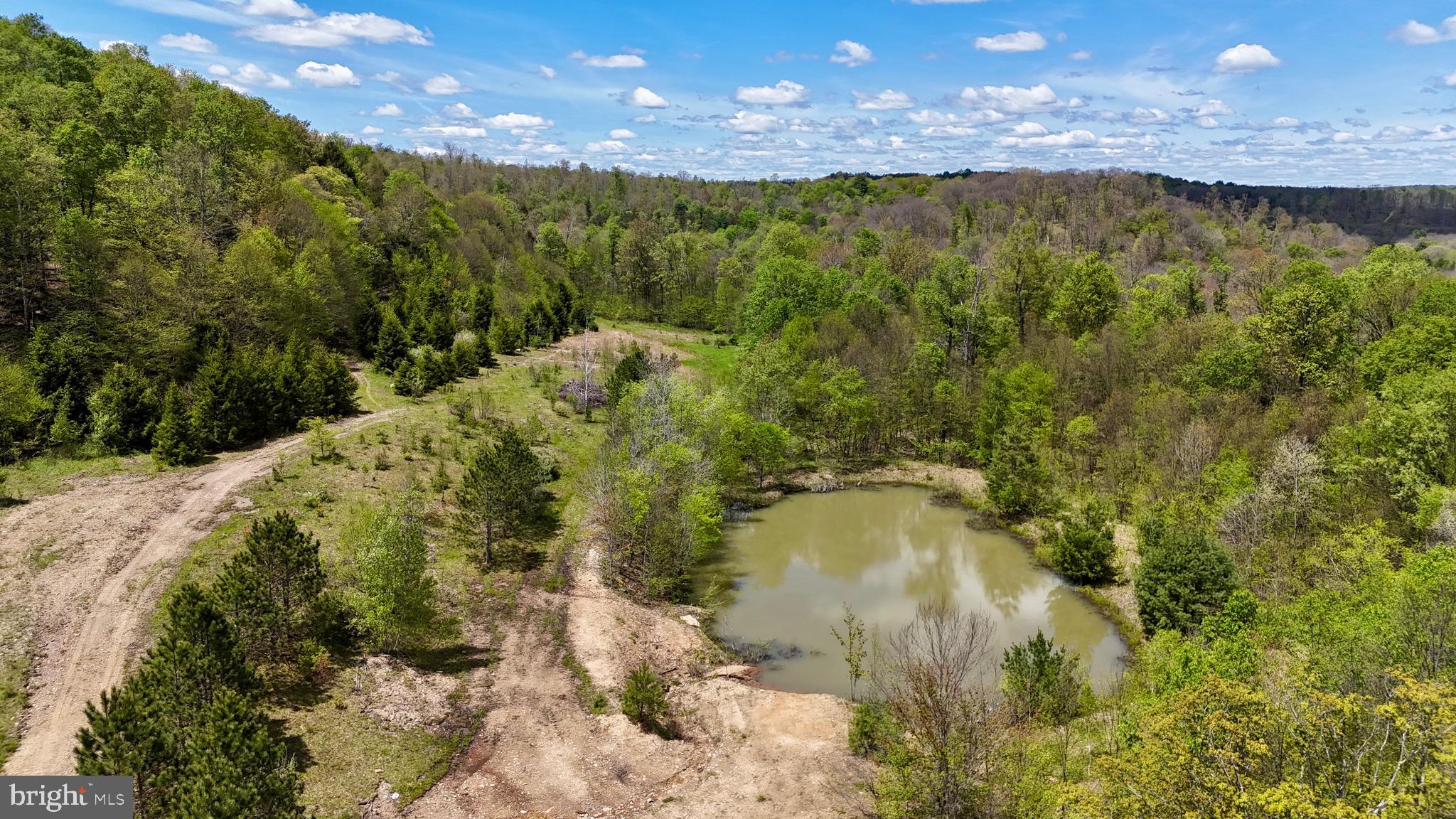 2800 Center Hill Road Brookville, PA 15825 - Photo 26 of 34 a view of a lake view with lots of trees