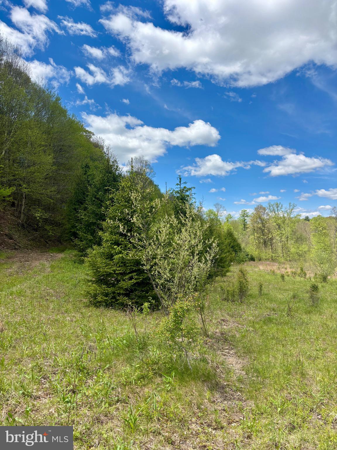 2800 Center Hill Road Brookville, PA 15825 - Photo 29 of 34 a view of a yard