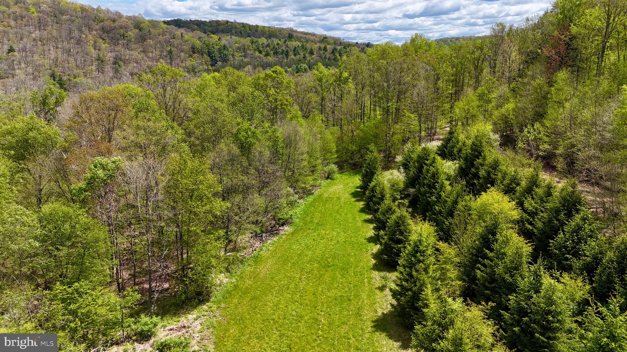 2800 Center Hill Road Brookville, PA 15825 - Photo 3 of 34 a view of a yard